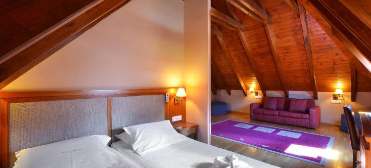 阿西维瓦尔达兰Spa酒店(Hotel Spa Acevi Val D’Aran)图片