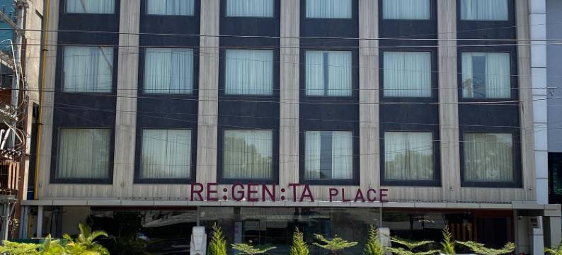Regenta布希珀尔之地(Regenta Place Bhopal by Royal Orchid Hotels Limited)图片