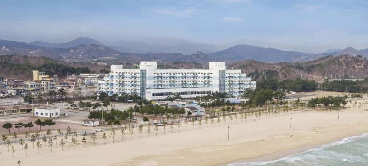 海洋之滨雪岳山海滩度假公寓式酒店(Ocean 2 You Resort Seorak Beach Hotel & Condo)图片