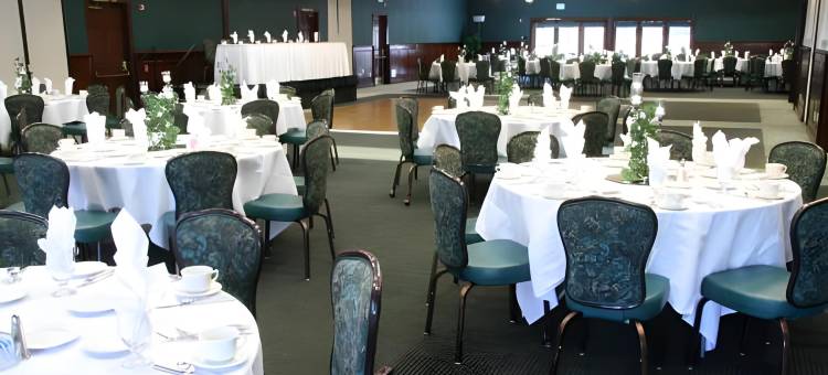 塞尔玛斯旺考特假日酒店(Holiday Inn Selma-Swancourt)图片