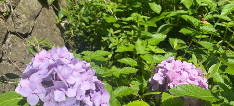 背山面海清静私墅邀上亲朋亦游亦乐度假别墅(高双线分店)图片