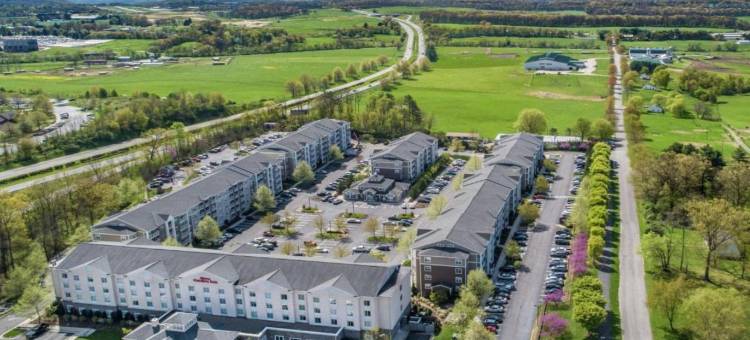 布莱克斯堡大学希尔顿花园酒店(Hilton Garden Inn Blacksburg University)图片