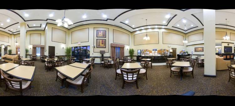 坦帕USF布希花园智选假日酒店及套房(Holiday Inn Express & Suites Tampa -USF-Busch Gardens)图片