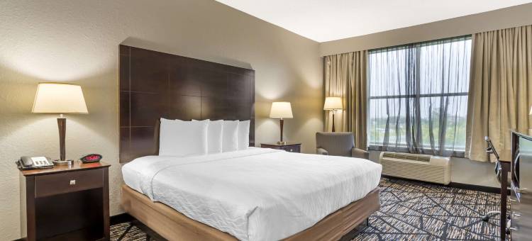 霍比机场贝斯特韦斯特优质套房酒店(Best Western Plus Hobby Airport Inn  Suites)图片