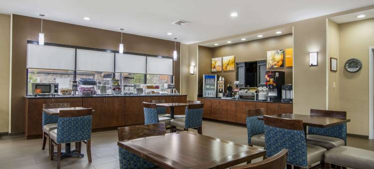 舒适套房酒店(Comfort Suites)图片