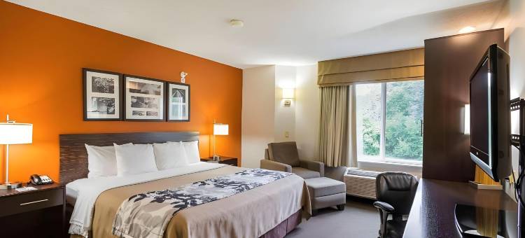 丹维尔舒眠酒店及套房(Sleep Inn & Suites)图片