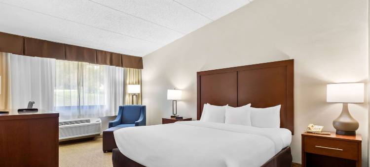 舒适酒店(Comfort Inn)图片