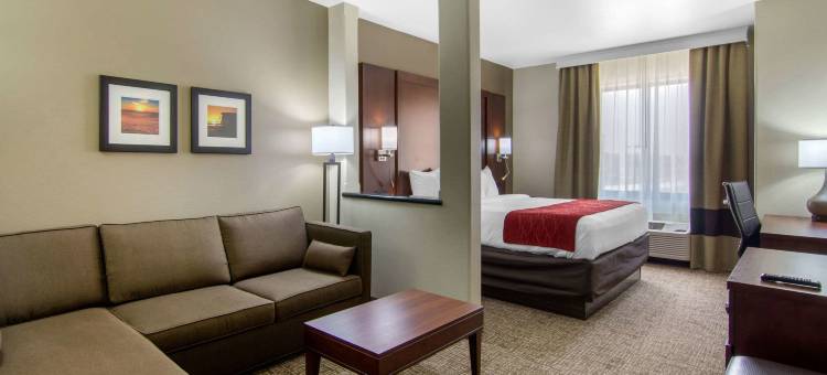 肖尼-堪萨斯城舒适套房酒店(Comfort Inn & Suites Shawnee - Kansas City)图片