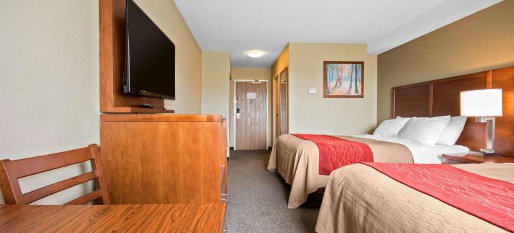 兰利舒适酒店(Comfort Inn & Suites)图片
