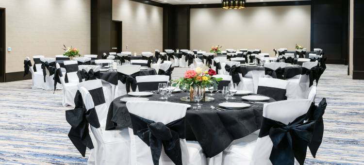 希尔顿安泊酒店-克利奇站(Embassy Suites College Station)图片