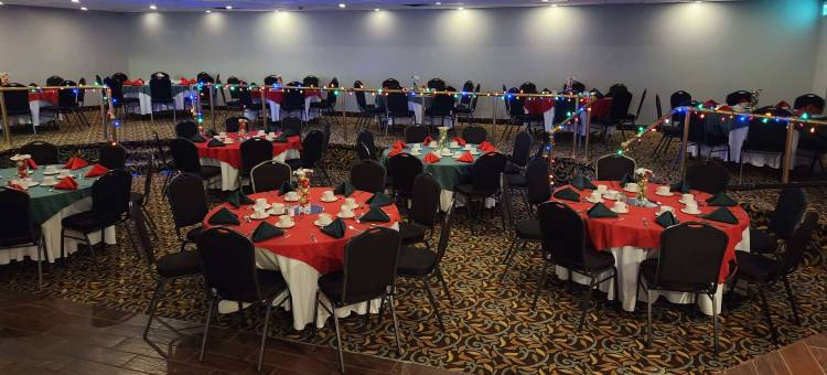 伦敦温德姆华美达酒店(Ramada by Wyndham London)图片