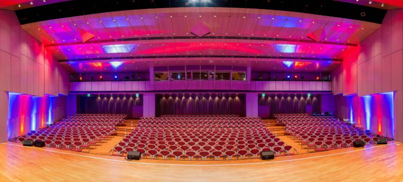 帕拉迪康格莱斯贝斯特韦斯特优质酒店(Best Western Plus Palatin Kongress Hotel)图片