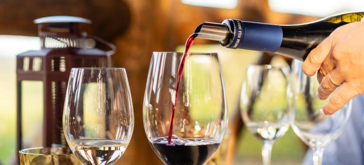 Valverde Santar 酒店及 SPA - Relais & Châteaux(Valverde Santar Hotel & SPA)图片