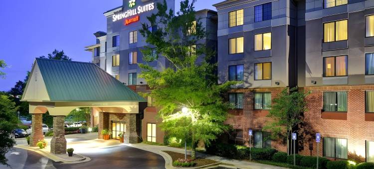 亚特兰大比福德 - 格鲁吉亚州购物中心 SpringHill Suites 酒店(SpringHill Suites Atlanta Buford/Mall of Georgia)图片