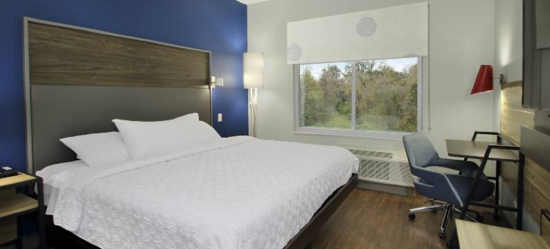 莫比尔希尔顿Tru酒店(Tru by Hilton Mobile I-65 Government Blvd)图片