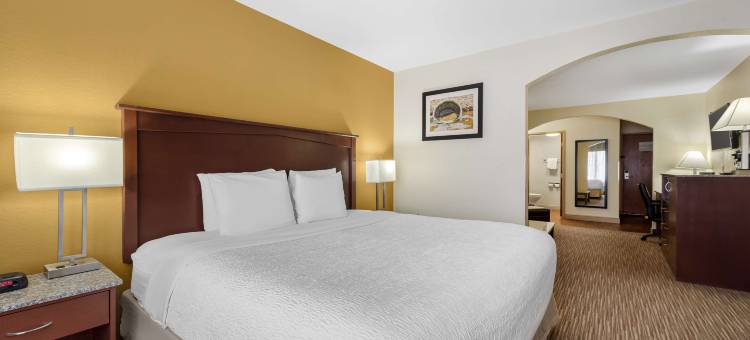 科罗拉多斯普林斯行政贝斯特韦斯特套房酒店(Best Western Executive Inn  Suites)图片