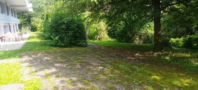 克尼格公寓酒店(Apartment König)图片