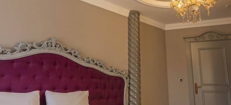 萨罗特温泉宫度假村 - 酒店(Sarot Thermal Palace Tatil Koyu - Halal Hotel)图片