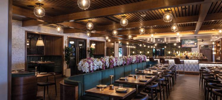 棕榈树花园酒店(Palm Garden Hotel)图片