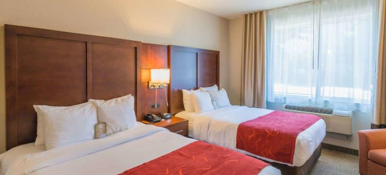 斯普林菲尔德河湾医疗区舒适套房酒店(Comfort Suites Springfield-Eugene)图片