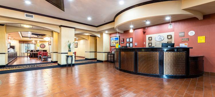 沃思湖舒适套房酒店(Comfort Suites Lake Worth)图片