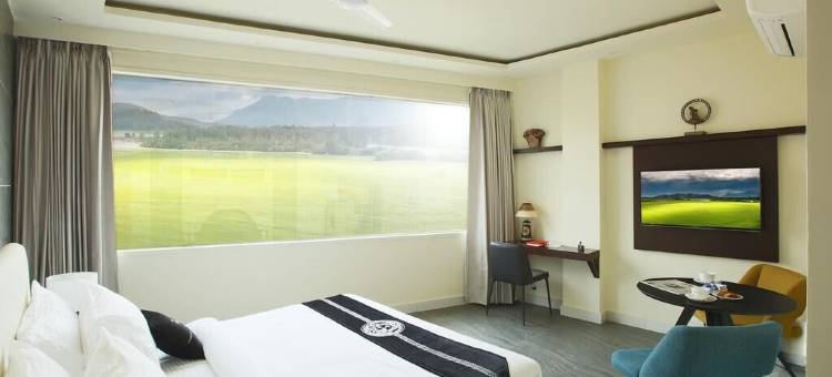 莫汉郁金香酒店(Mohan Tulip Hotel)图片