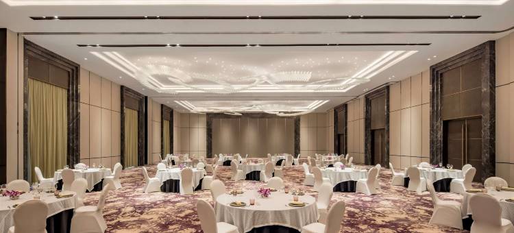 纳西克丽笙酒店及水疗中心(Radisson Blu Hotel & Spa, Nashik)图片