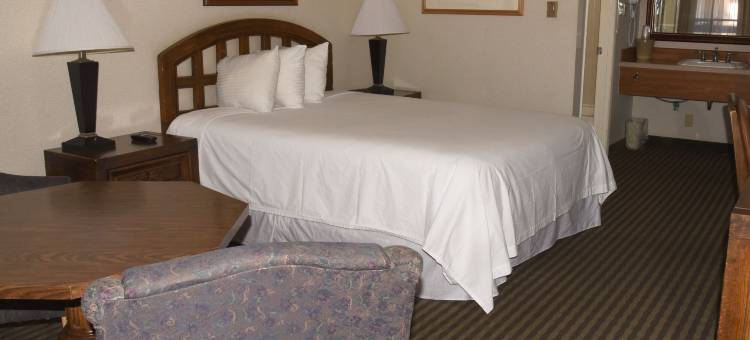 雷鸟汽车旅馆(Thunderbird Motel)图片