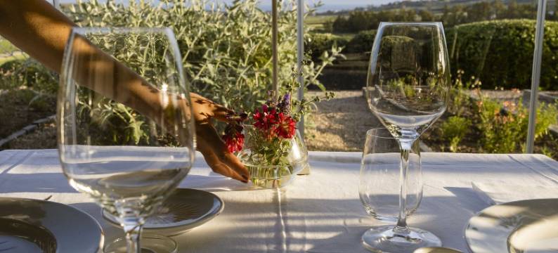 弗瑞斯特里亚普莱奈特庄园酒店(La Foresteria Planeta Wine Resort & Beach Club)图片