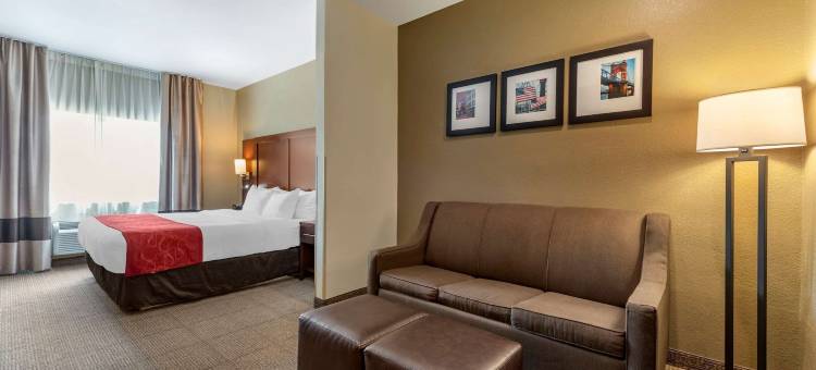 梅森舒适套房酒店-近国王岛(Comfort Suites Mason Near Kings Island)图片