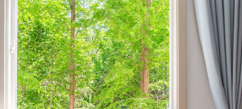 日出海上森林公寓(芙蓉路分店)图片