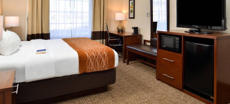 舒适套房酒店-麦迪逊北部(Comfort Inn & Suites Madison North)图片