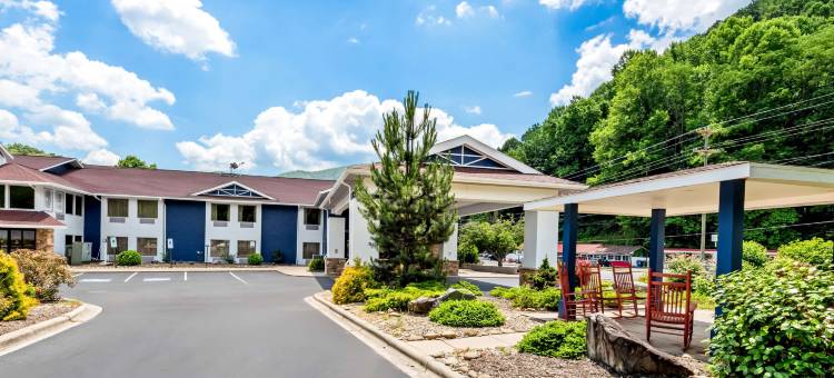 大烟山国家公园附近舒适酒店(Comfort Inn Near Great Smoky Mountain National Park)图片
