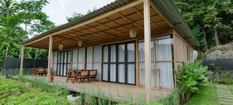 Terra Clementia图片