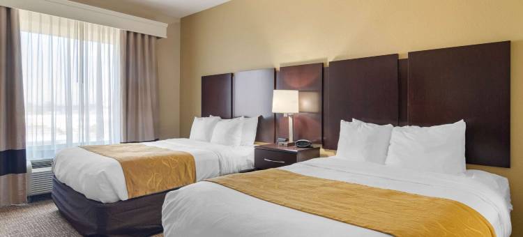 拜伦华纳罗宾斯舒适套房酒店(Comfort Suites Byron Warner Robins)图片
