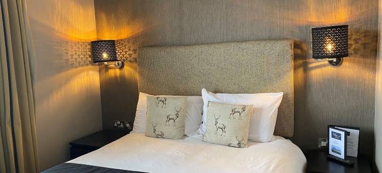 白天鹅酒店(The White Swan, Yeadon)图片