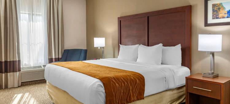 史密斯菲尔德 I-95 附近舒适酒店(Comfort Inn Smithfield Near I-95)图片