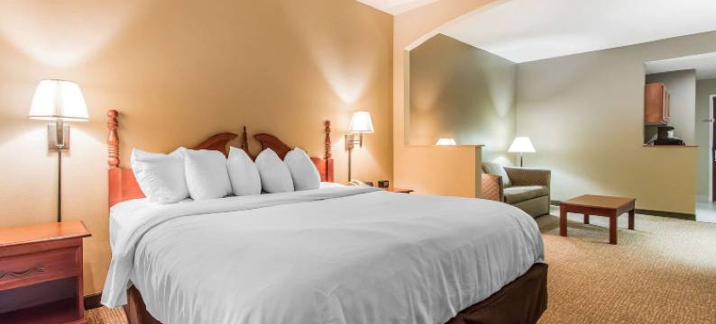 新伊比利亚品质套房酒店(Quality Suites New Iberia)图片