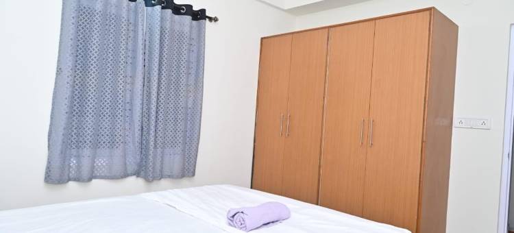 北方光环(Northern Aura)图片