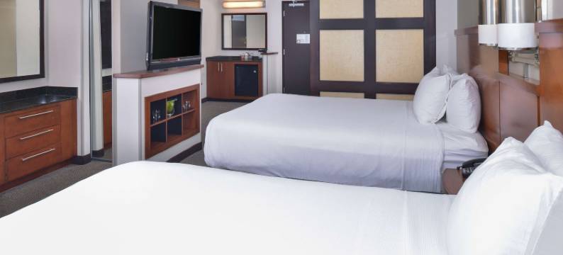 赫恩登杜勒斯机场东凯悦嘉轩酒店(Hyatt Place Herndon Dulles East)图片