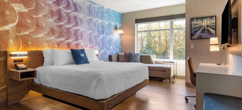 坎布里亚酒店-曼彻斯特南温莎(Cambria Hotel Manchester South Windsor)图片