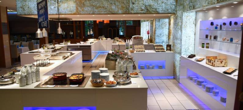 亚祖尔希欧福克酒店(Hotel Azur Siofok)图片