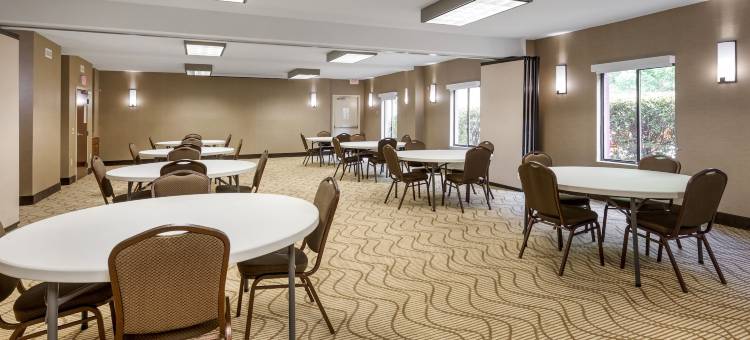 舒适套房酒店(Comfort Inn & Suites Canton Riverstone Area)图片