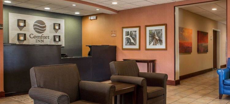 舒适酒店和套房卢伯顿中心I-95(Comfort Inn & Suites Lumberton Central I-95)图片