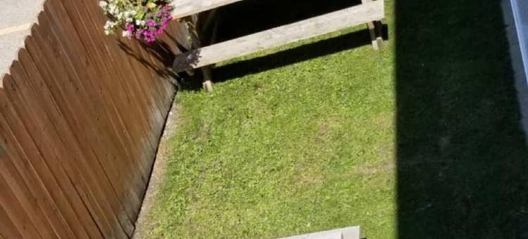 海滨旅馆(Edgewater Inn)图片