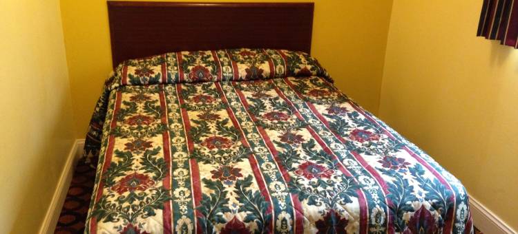 火鹤旅馆(Flamingo Inn)图片