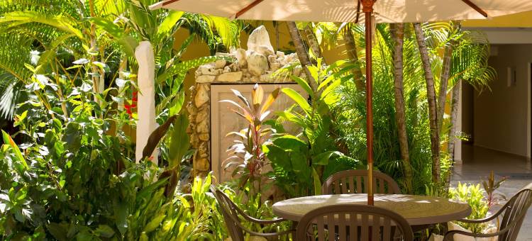 夏布利帕伦克酒店(Hotel Chablis Palenque)图片