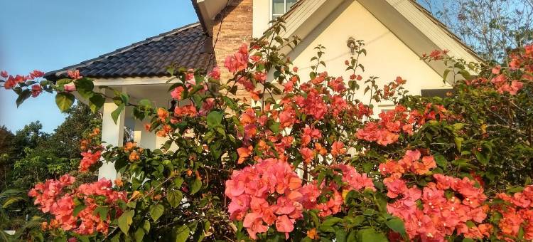 泰和尔旅馆(Tehel Farmhouse)图片