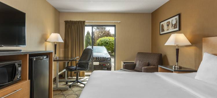 舒适酒店(Comfort Inn)图片