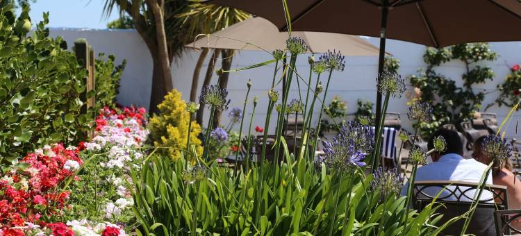 拉普拉切酒店(La Place Country Cottages)图片